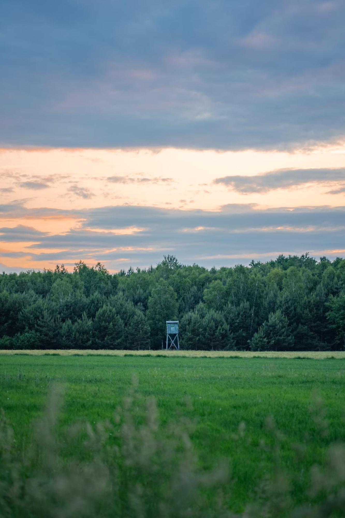 Dworek Ogrodniki, Caloroczny Dom Na Wylacznosc, Basen, Sauna, Las, Staw Rybny, Altana Grillowa, Ognisko, Pianino, Kominek, Piec Chlebowy, Duza Ogrodzona Posesja Tuczna Exterior foto